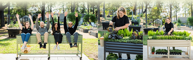 Vego garden beds