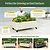 Classic Rolling Garden Beds | Vego Garden