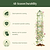Round Obelisk Garden Trellis - 7.6 ft