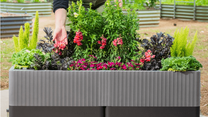 self-watering eco-stained elevated 2'x8' planter box with arch trellis EZCube Self-Watering Planter 21" x 24" Elevated