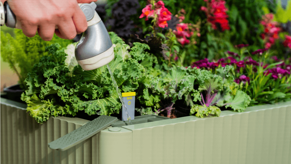 self-watering eco-stained elevated 2'x8' planter box EZCube Self-Watering Planter 21" x 48" Elevated