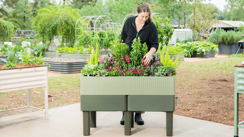 self-watering elevated planter box EZCube Self-Watering Planter 21" x 48" Elevated