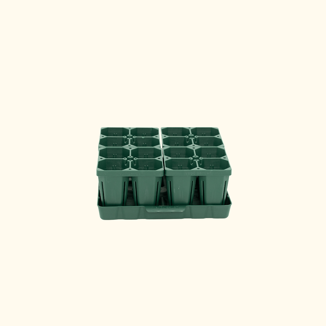 vego garden seed starting Seed Starting Bundle