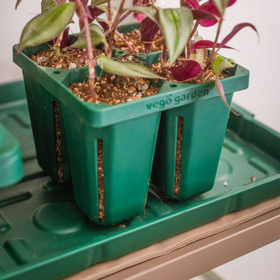 heat mat for indoor plants Seedling Heat Mat for Faster Germination