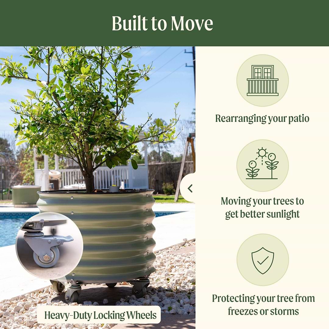 rolling self-watering tomato planter and rust-resistant tower Self-Watering Rolling Citrus Tree Planter 30 Gallon