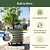 Self-watering Rolling Citrus Tree Planter