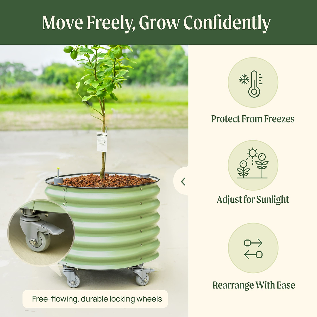 dragon fruit self-watering rolling planter Self-Watering Rolling Citrus Tree Planter Gen 3 - 30 Gal