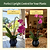 Vego Garden Plant Supports