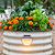 Diamond Garden Solar Light - Classic Mount | Vego Garden
