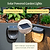 Diamond Garden Solar Light - Flat Mount | Vego Garden