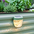 Diamond Garden Solar Light - Classic Mount | Vego Garden