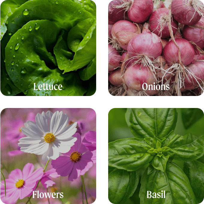 vego garden seed starting Ultimate Seed Starting Bundle