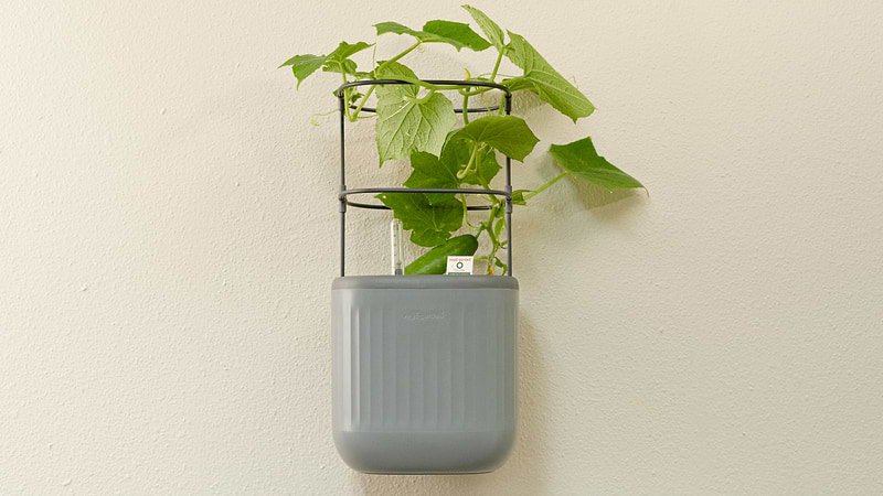 wall hooks for plant pots Planter Wall Mount Kit