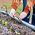 Tee Bracket for Irrigation Kit