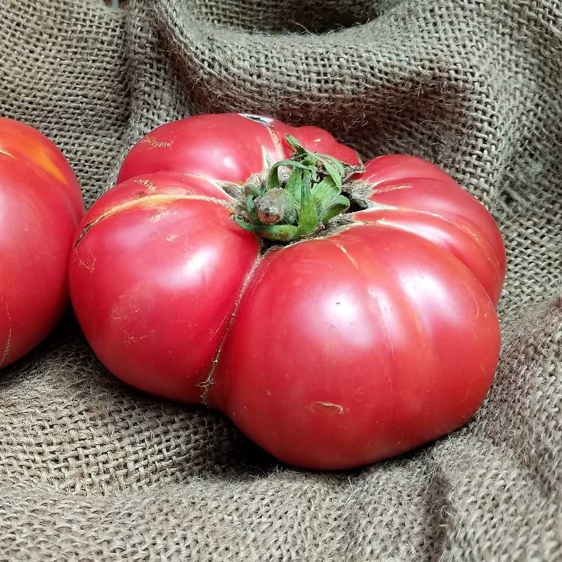 Brandywine Pink Tomato Seeds