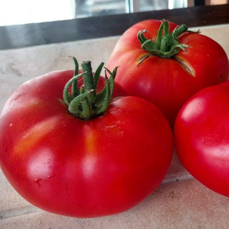 Brandywine Red Tomato Seeds