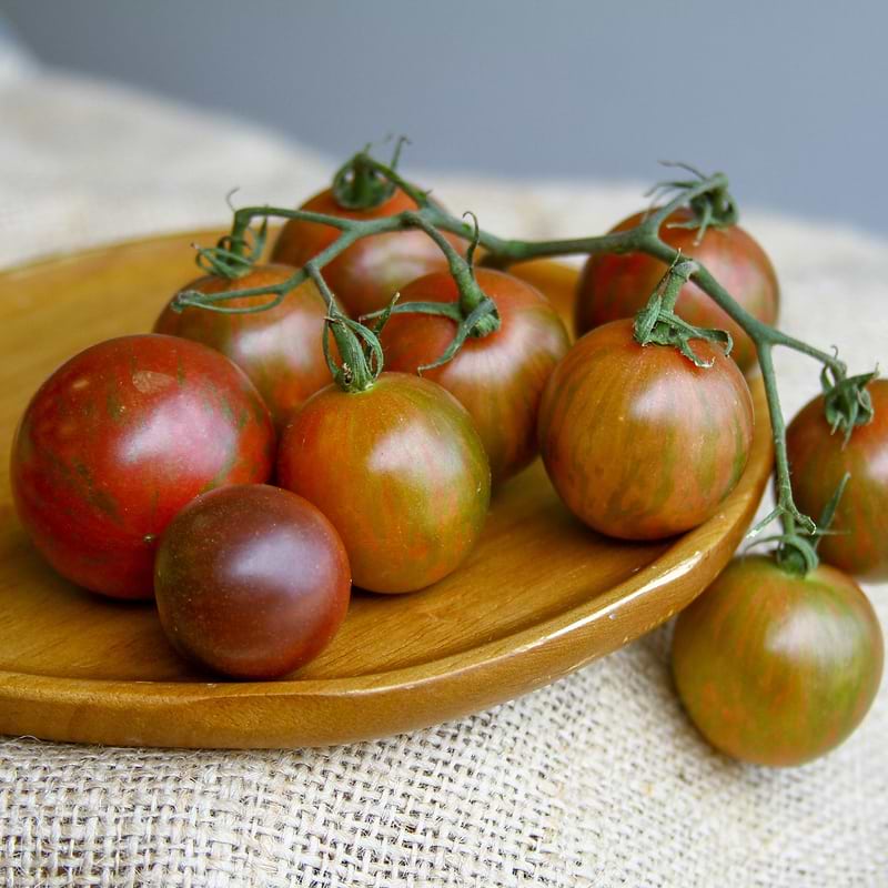 Purple Bumble Bee Tomato Seeds