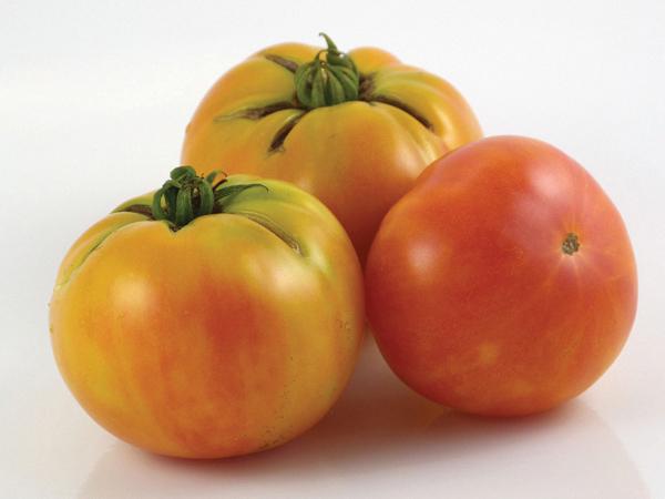 Wherokowhai Tomato (Dwarf Bush) Seeds