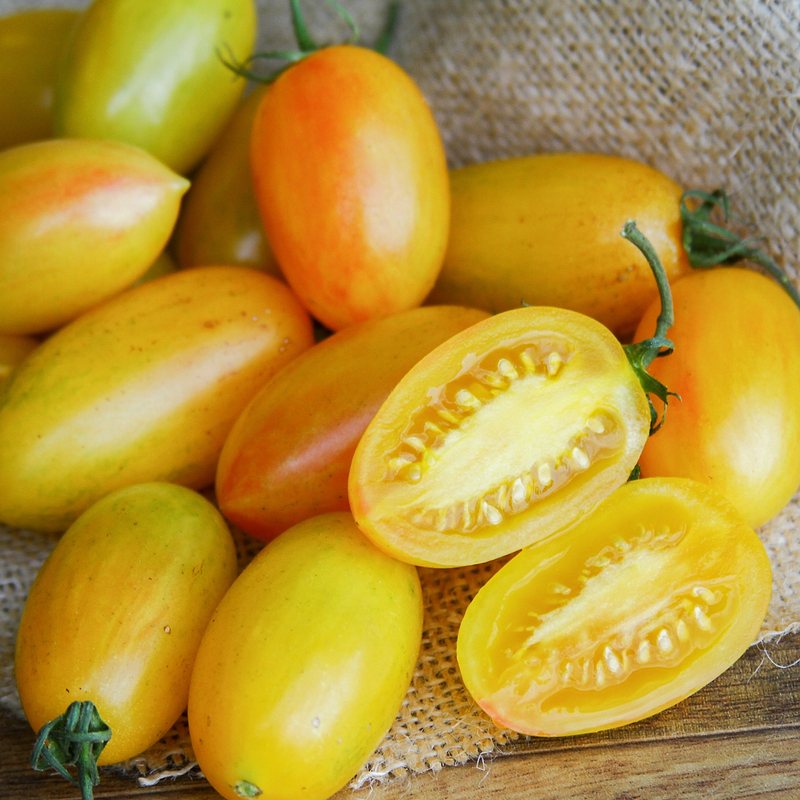 Blush Tomato Seeds
