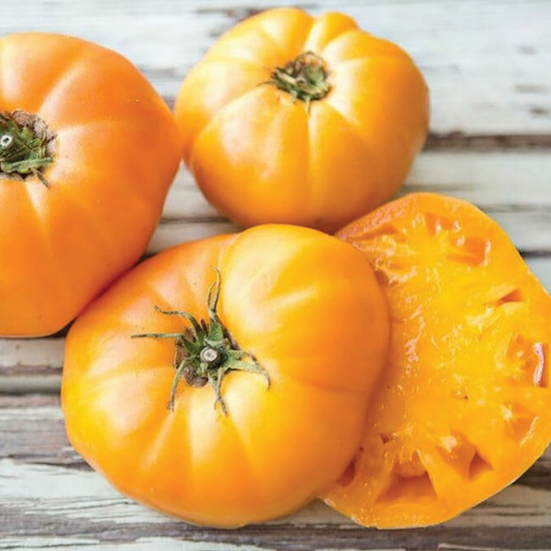 Goldie Tomato Seeds