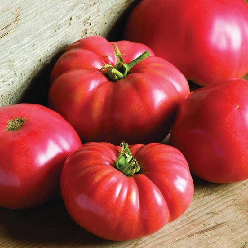 German Johnson Tomato Seeds