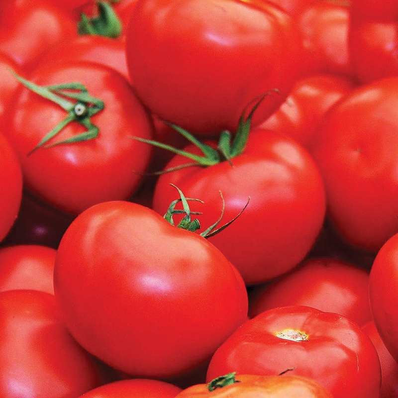 Floradade Tomato Seeds