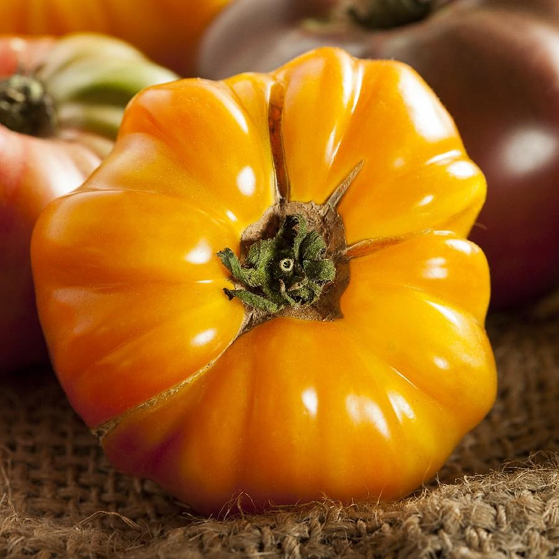 Amana Orange Tomato Seeds