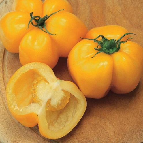 Yellow Stuffer Tomato Seeds