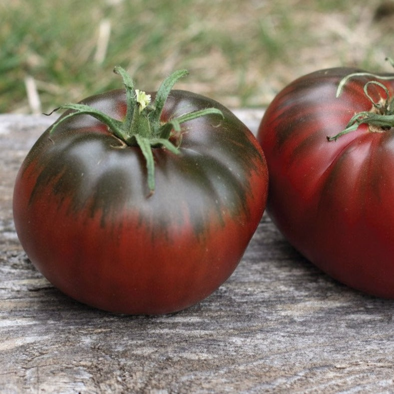 Paul Robeson Tomato Seeds