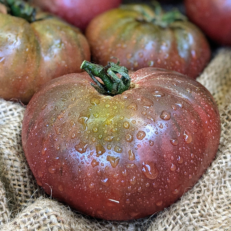 Brandywine Black Tomato Seeds