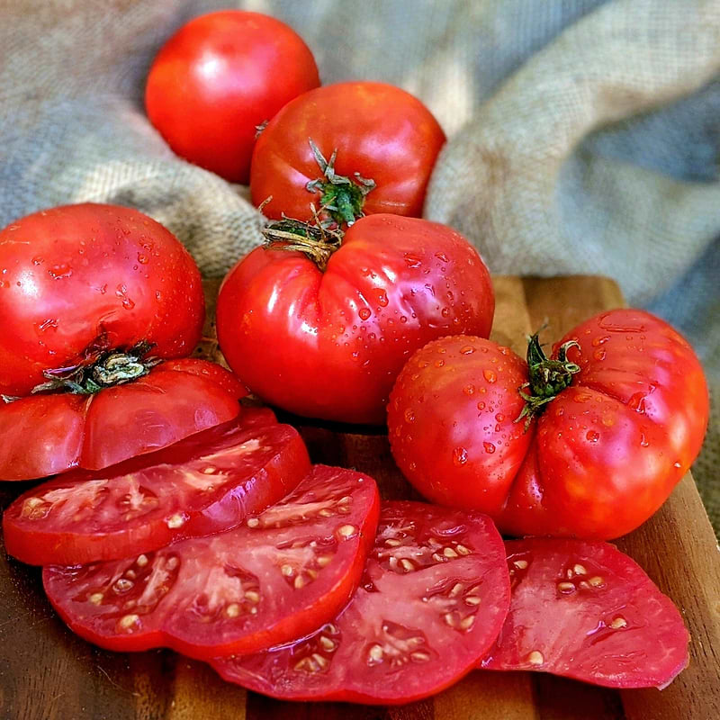 Giant Crimson Tomato Seeds
