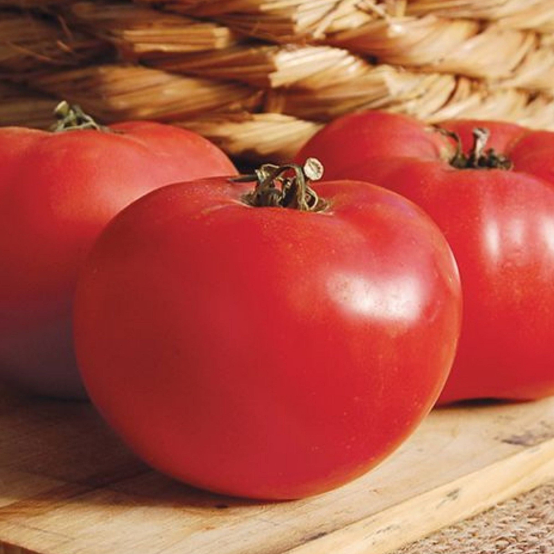 Rose De Berne Tomato Seeds