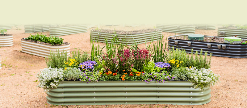 Vego garden beds