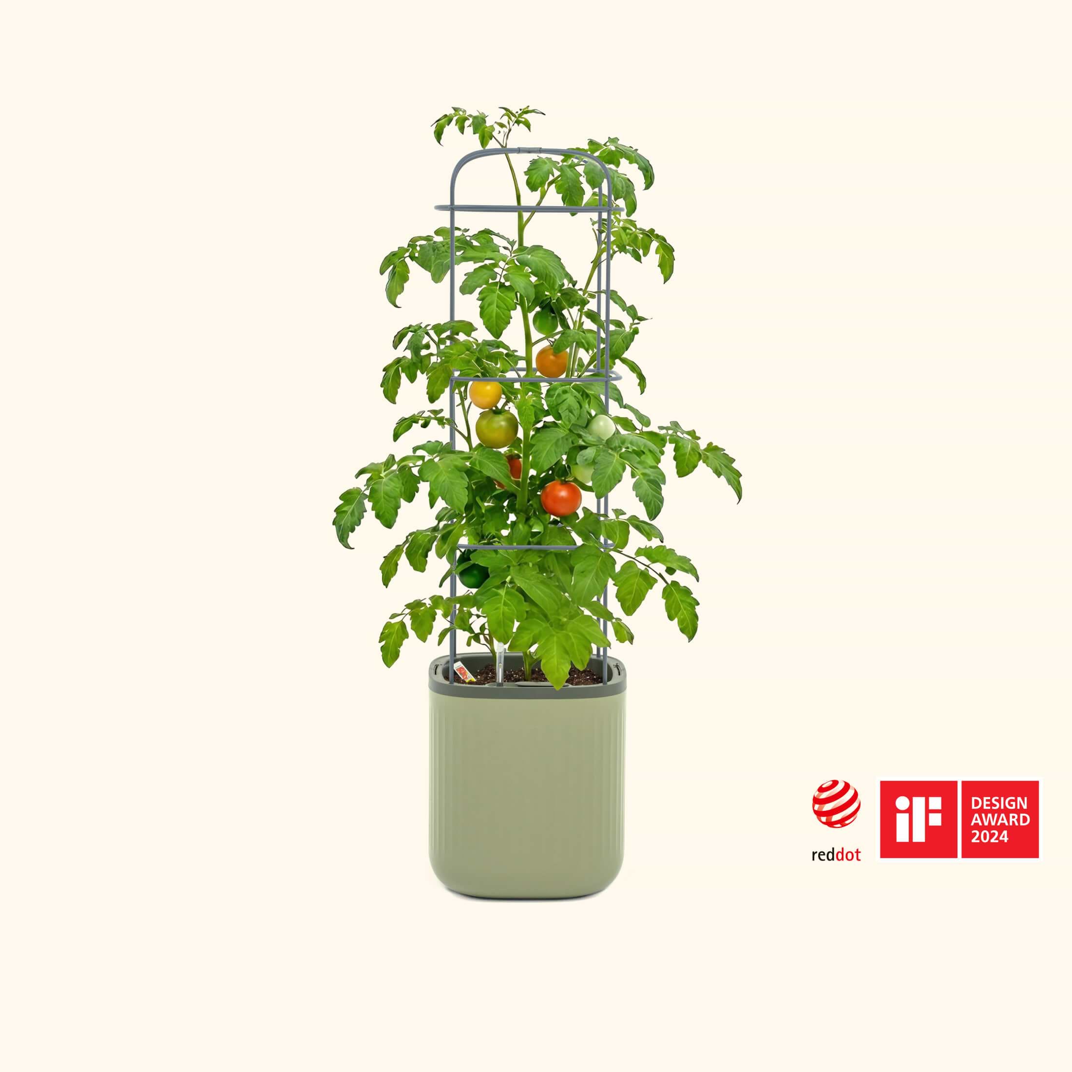 EZ Indoor Planters | Vego Garden