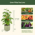 EZ Self-Watering Tomato Planter with Trellis Gen 2 | Vego Garden