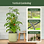 EZ Self-Watering Tomato Planter with Trellis Gen 2 | Vego Garden