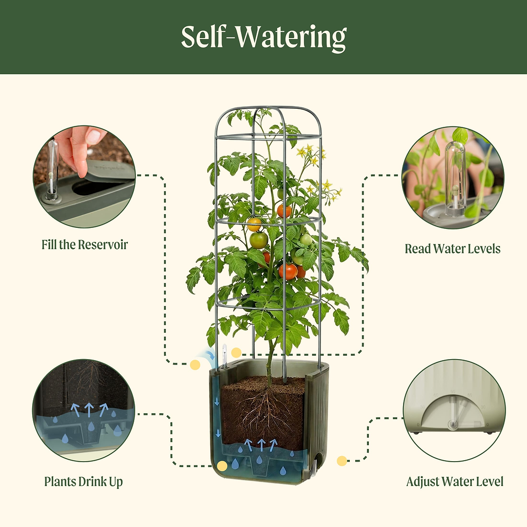 self watering tomato planter plans EZ Self-Watering Tomato Planter with Trellis