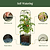 EZ Self-Watering Tomato Planter with Trellis Gen 2 | Vego Garden