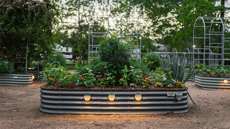 Vego garden beds