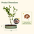 Vego Garden Tree Surround Watering Ring Kit