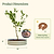 Vego Garden Tree Surround Watering Ring Kit