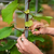 Jute Garden Twine - 2-Pack | Vego Garden