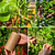 Jute Garden Twine - 2-Pack | Vego Garden