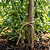 Jute Garden Twine - 2-Pack | Vego Garden