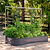 Jute Garden Twine - 2-Pack | Vego Garden