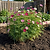 Jute Garden Twine - 2-Pack | Vego Garden