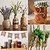 Jute Garden Twine - 2-Pack | Vego Garden