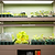 Ultimate Grow Light | Vego Garden