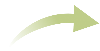 Vego garden beds