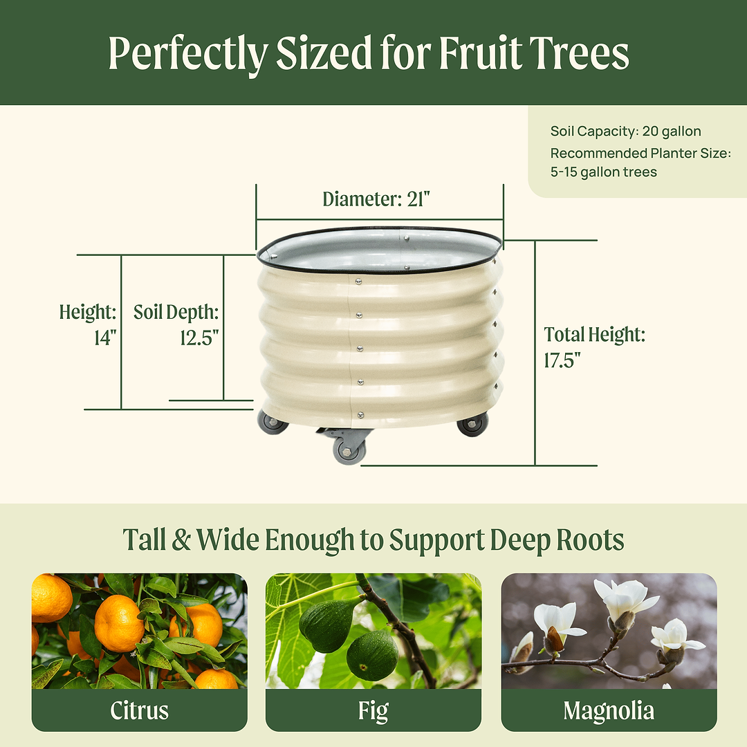 Rolling Tree Planter on Wheels | Vego Garden